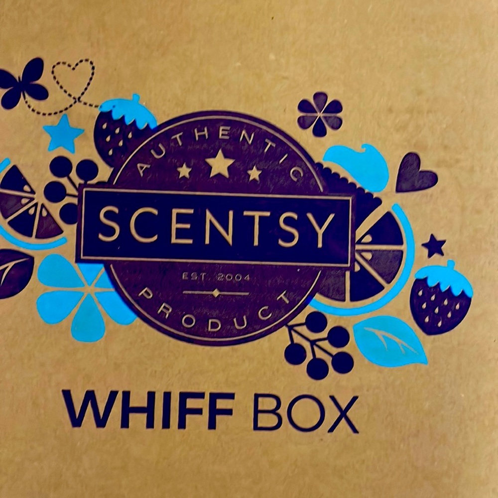 🛍️🎁🛍️ Grab your perfect gift for Christmas 🎄 Scentsy whiff 📦 boxes